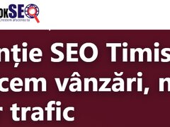 OkSEO - Agentie SEO si Marketing online Timisoara